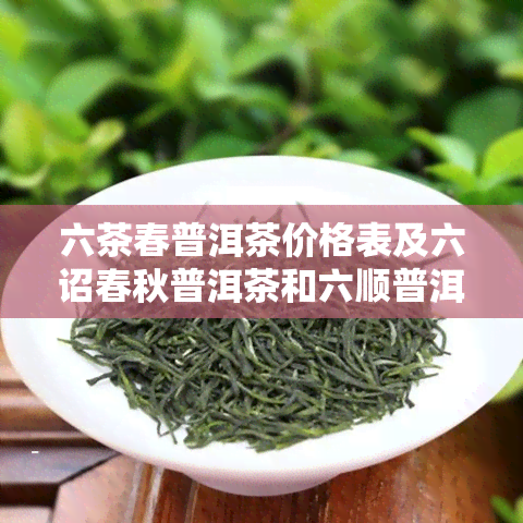 六茶春普洱茶价格表及六诏春秋普洱茶和六顺普洱茶信息