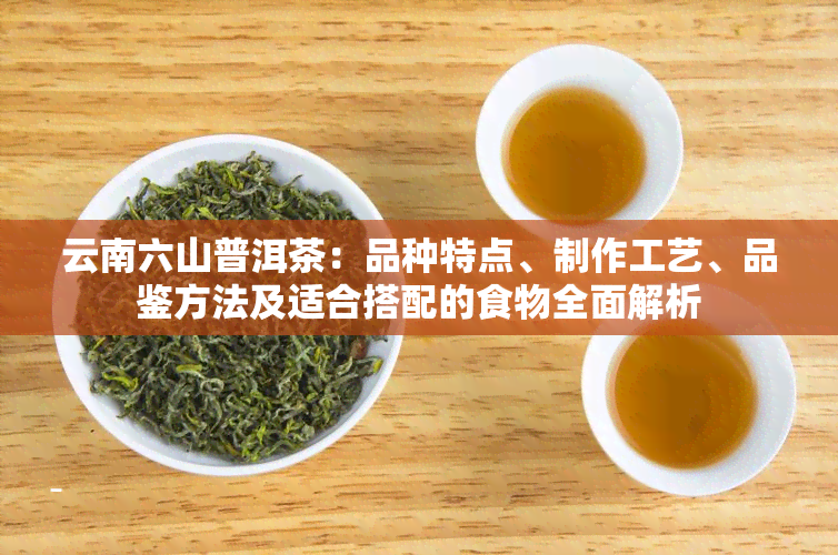 云南六山普洱茶：品种特点、制作工艺、品鉴方法及适合搭配的食物全面解析