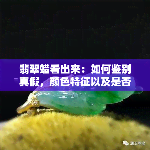 翡翠蜡看出来：如何鉴别真假，颜色特征以及是否有蜡质感觉