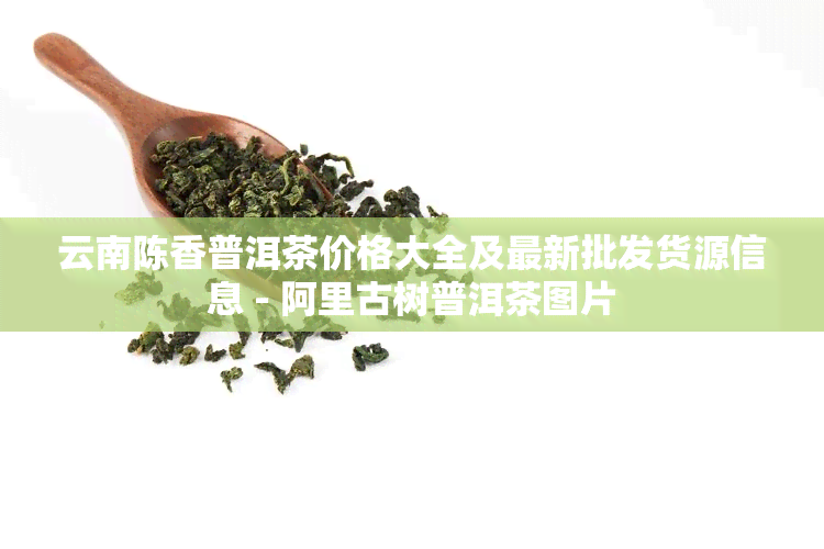 云南陈香普洱茶价格大全及最新批发货源信息 - 阿里古树普洱茶图片