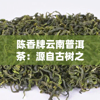 陈香牌云南普洱茶：源自古树之韵，匠心制作的味道