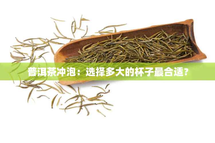 普洱茶冲泡：选择多大的杯子最合适？