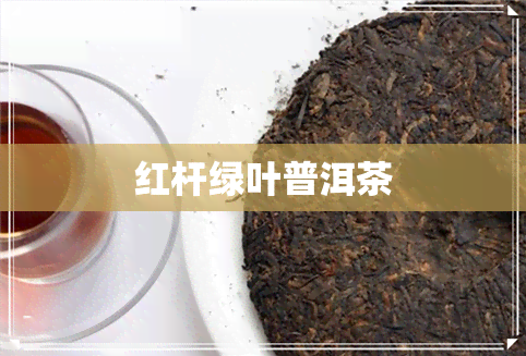 红杆绿叶普洱茶