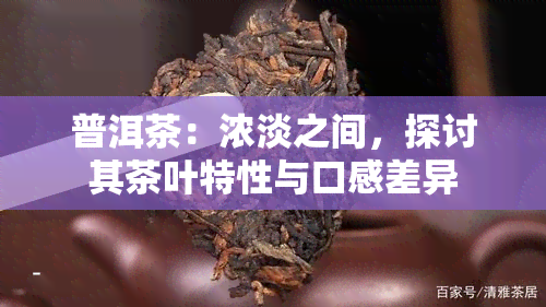 普洱茶：浓淡之间，探讨其茶叶特性与口感差异