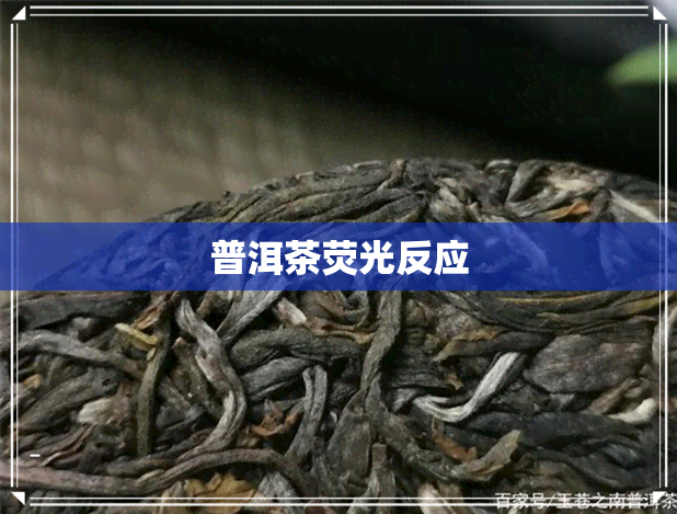 普洱茶荧光反应