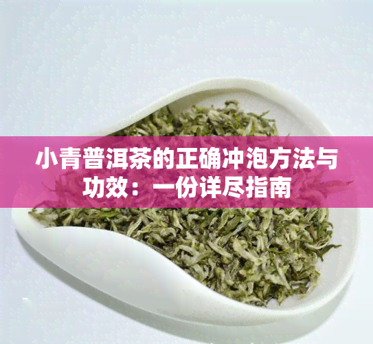 小青普洱茶的正确冲泡方法与功效：一份详尽指南