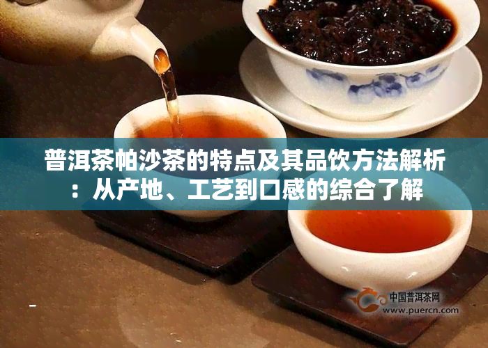 普洱茶帕沙茶的特点及其品饮方法解析：从产地、工艺到口感的综合了解