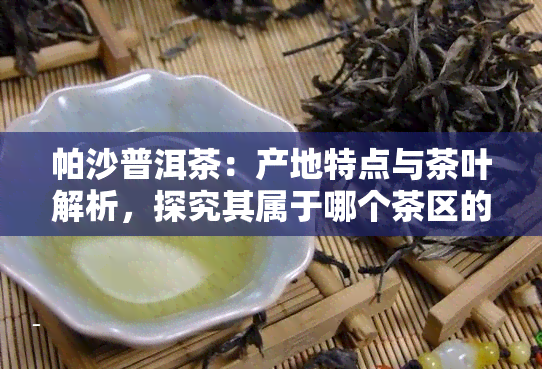 帕沙普洱茶：产地特点与茶叶解析，探究其属于哪个茶区的文化底蕴