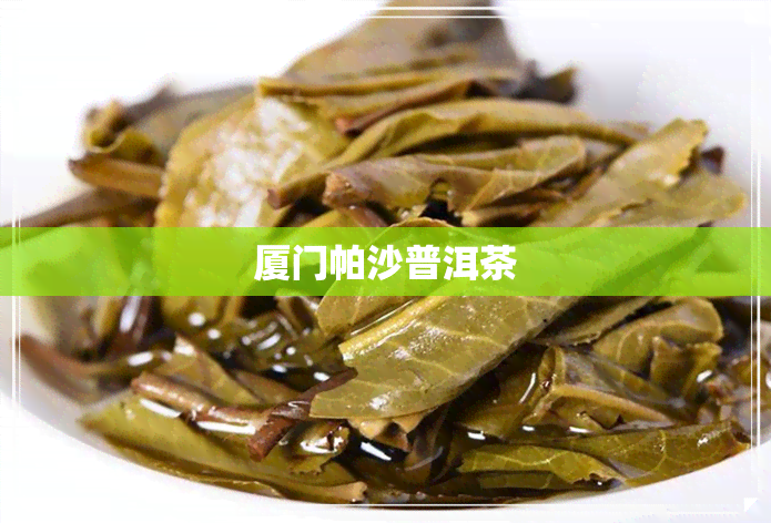 厦门帕沙普洱茶