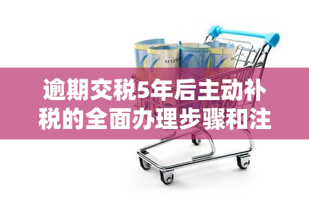 逾期交税5年后主动补税的全面办理步骤和注意事项，如何应对税务问题？