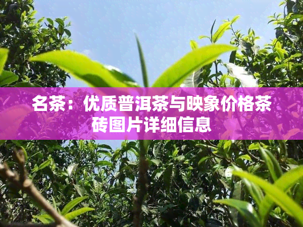 名茶：优质普洱茶与映象价格茶砖图片详细信息