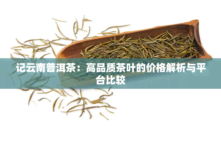 记云南普洱茶：高品质茶叶的价格解析与平台比较