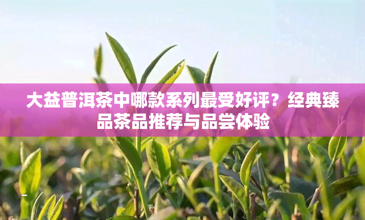 大益普洱茶中哪款系列最受好评？经典臻品茶品推荐与品尝体验