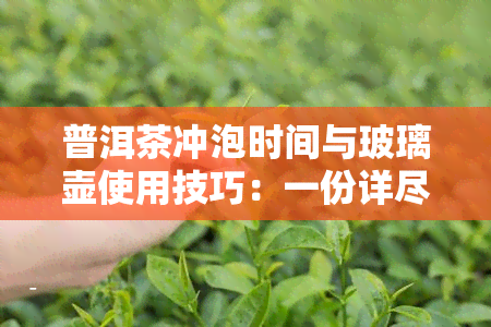 普洱茶冲泡时间与玻璃壶使用技巧：一份详尽指南