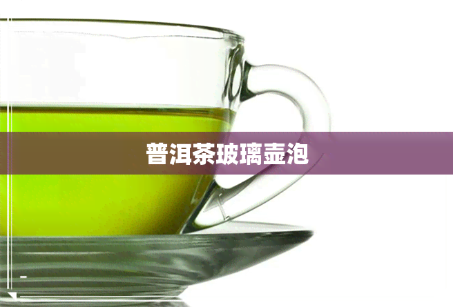 普洱茶玻璃壶泡