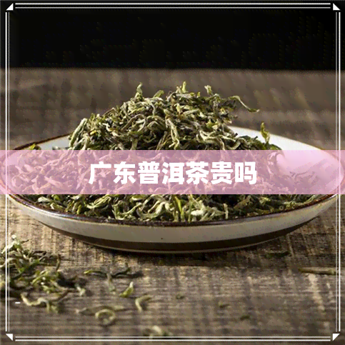 广东普洱茶贵吗