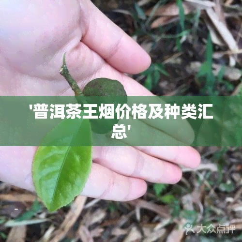 '普洱茶王价格及种类汇总'