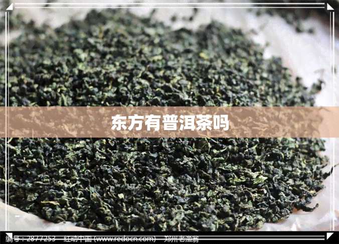 东方有普洱茶吗