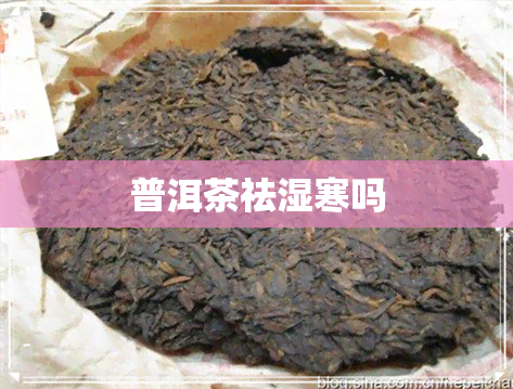 普洱茶祛湿寒吗