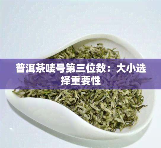 普洱茶唛号第三位数：大小选择重要性