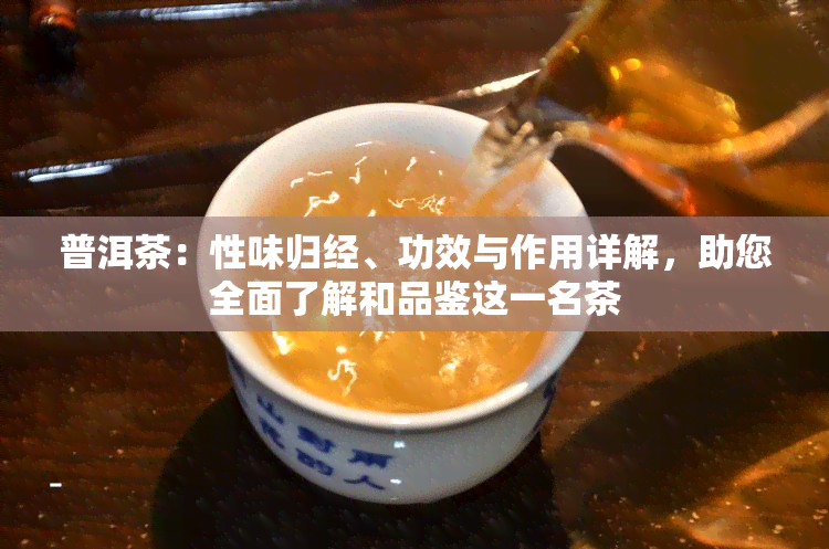 普洱茶：性味归经、功效与作用详解，助您全面了解和品鉴这一名茶