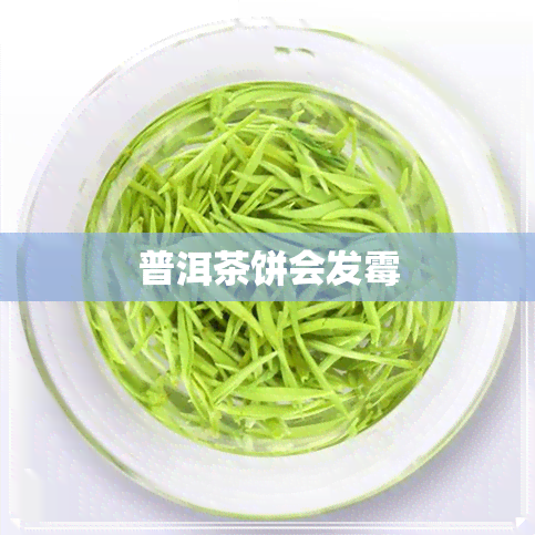 普洱茶饼会发霉