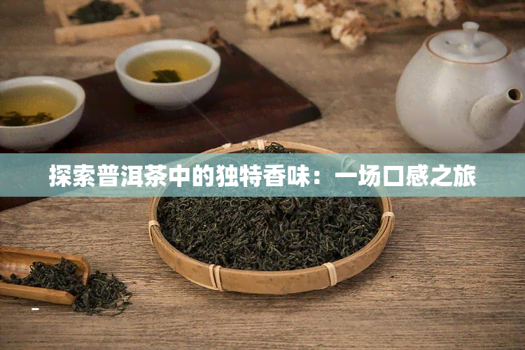 探索普洱茶中的独特香味：一场口感之旅