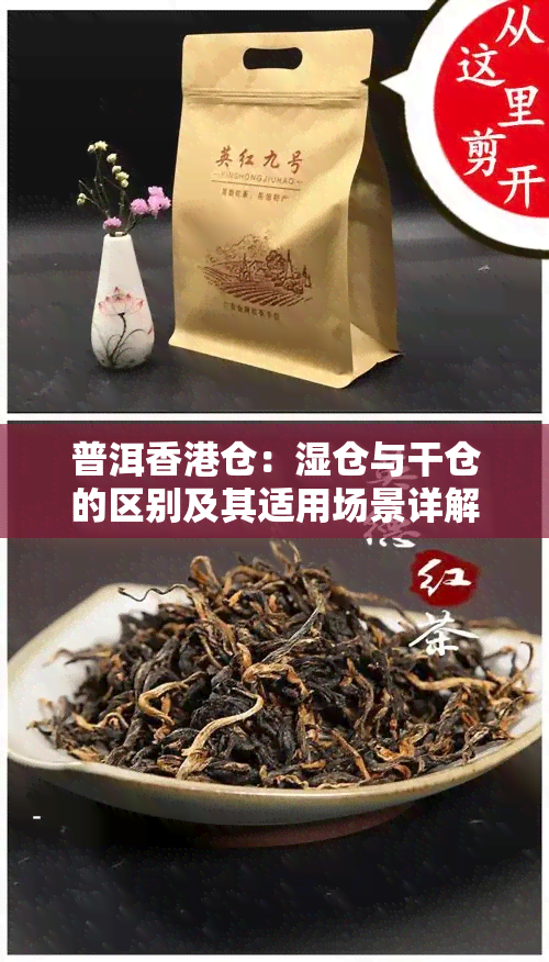 普洱仓：湿仓与干仓的区别及其适用场景详解