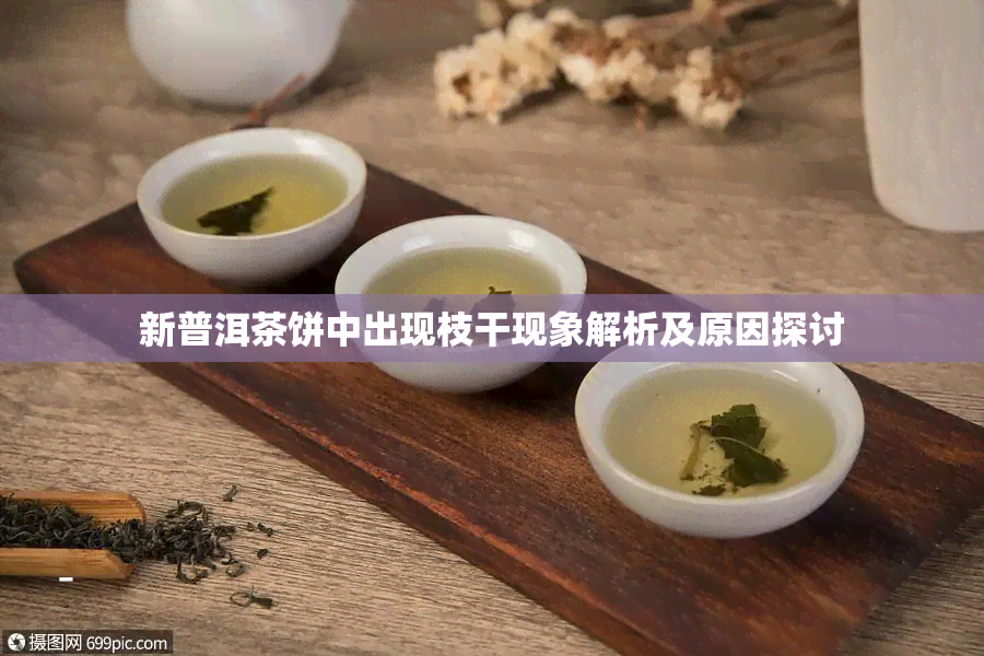 新普洱茶饼中出现枝干现象解析及原因探讨