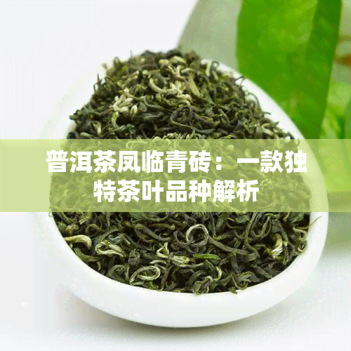 普洱茶凤临青砖：一款独特茶叶品种解析