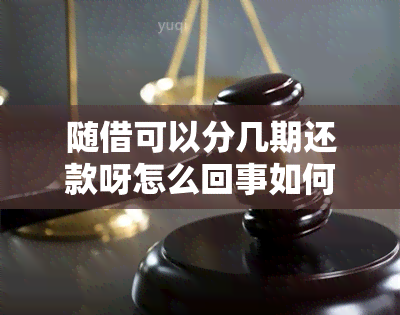 随借可以分几期还款呀怎么回事如何操作？