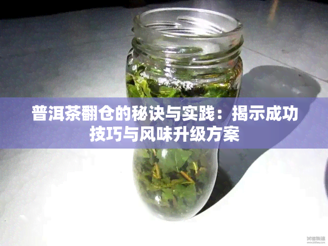 普洱茶翻仓的秘诀与实践：揭示成功技巧与风味升级方案