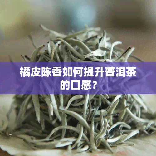 橘皮陈香如何提升普洱茶的口感？