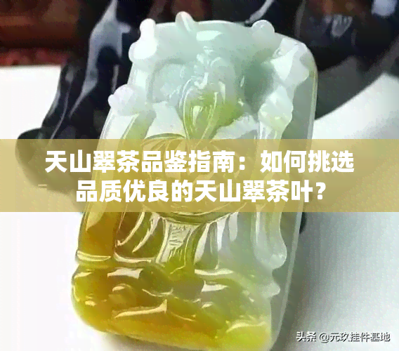 天山翠茶品鉴指南：如何挑选品质优良的天山翠茶叶？