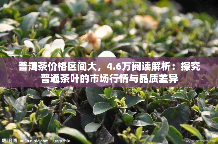 普洱茶价格区间大，4.6万阅读解析：探究普通茶叶的市场行情与品质差异