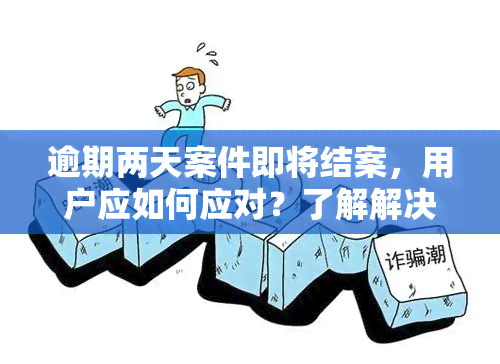 逾期两天案件即将结案，用户应如何应对？了解解决方法，避免不良影响！