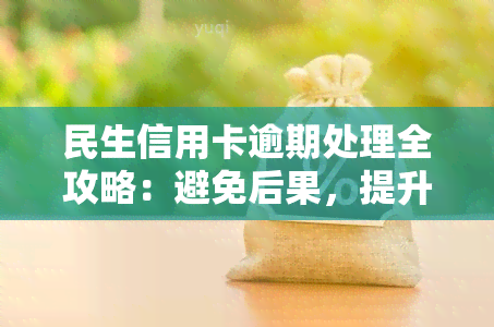 民生信用卡逾期处理全攻略：避免后果，提升信用