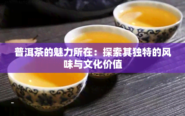 普洱茶的魅力所在：探索其独特的风味与文化价值