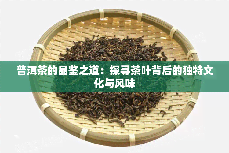 普洱茶的品鉴之道：探寻茶叶背后的独特文化与风味