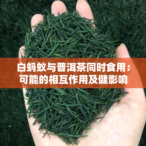 白蚂蚁与普洱茶同时食用：可能的相互作用及健影响分析