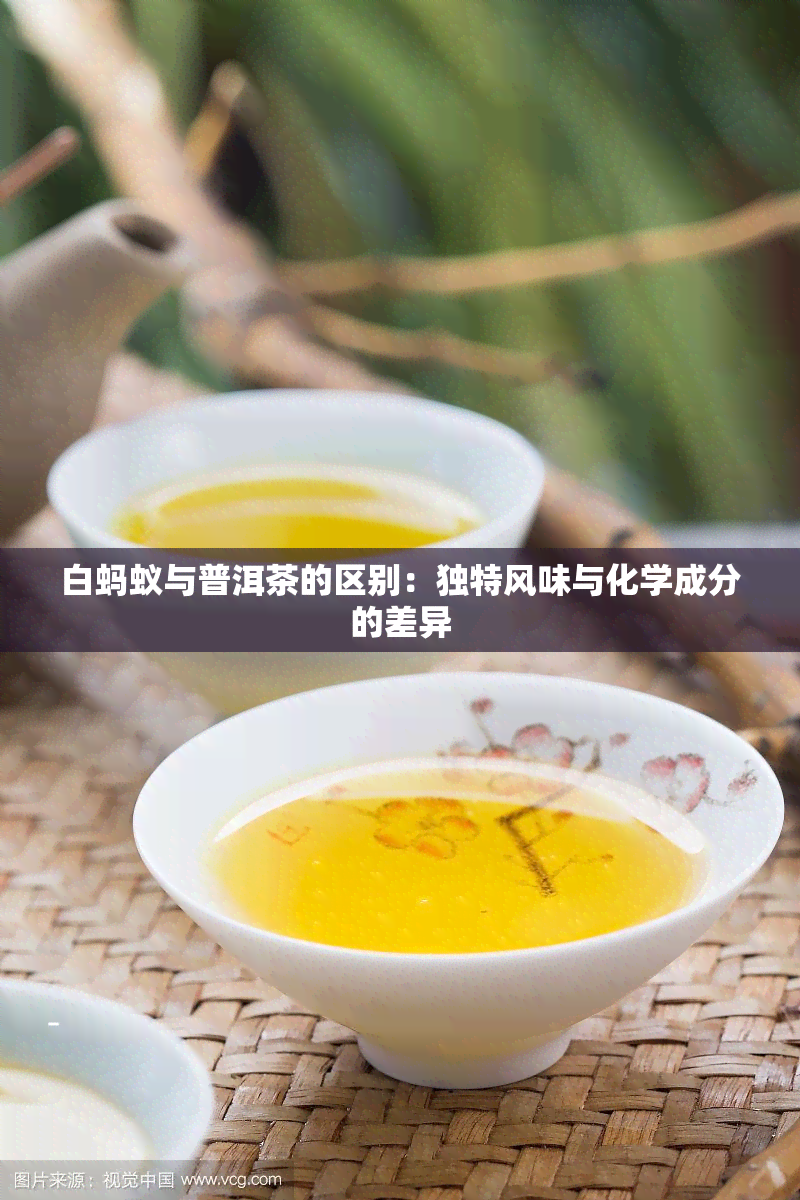 白蚂蚁与普洱茶的区别：独特风味与化学成分的差异