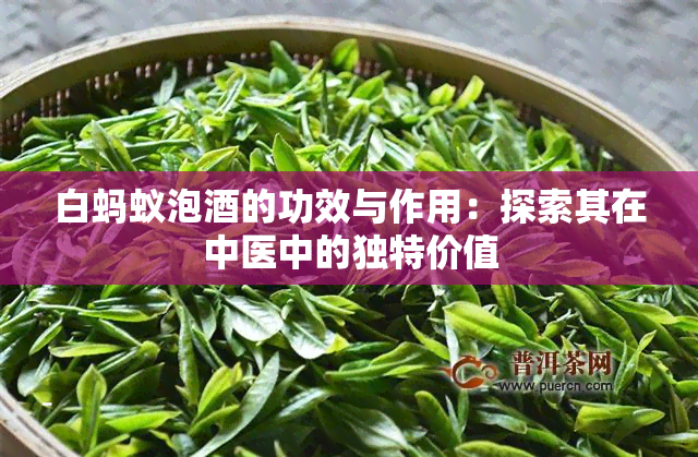 白蚂蚁泡的功效与作用：探索其在中医中的独特价值