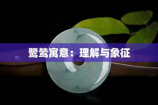 鹭鸶寓意：理解与象征