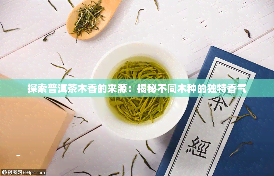 探索普洱茶木香的来源：揭秘不同木种的独特香气