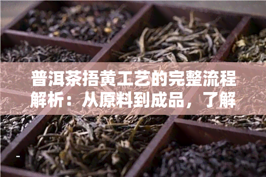 普洱茶捂黄工艺的完整流程解析：从原料到成品，了解每一个环节的重要性