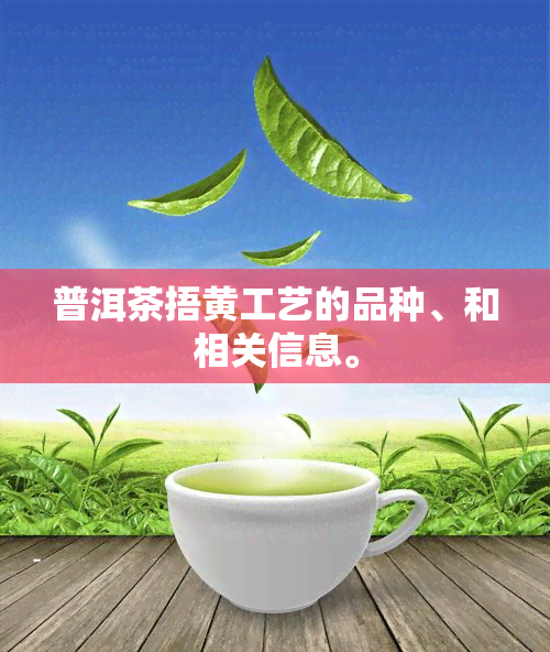 普洱茶捂黄工艺的品种、和相关信息。