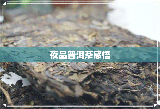 夜品普洱茶感悟