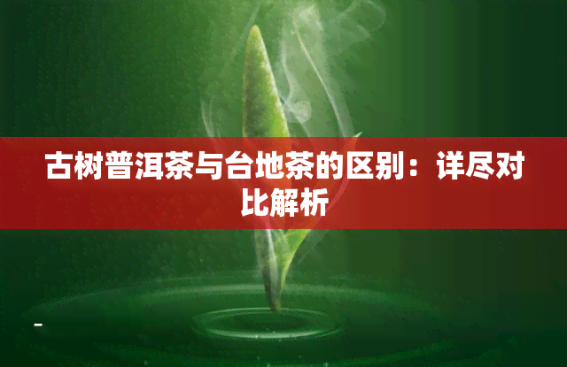 古树普洱茶与台地茶的区别：详尽对比解析