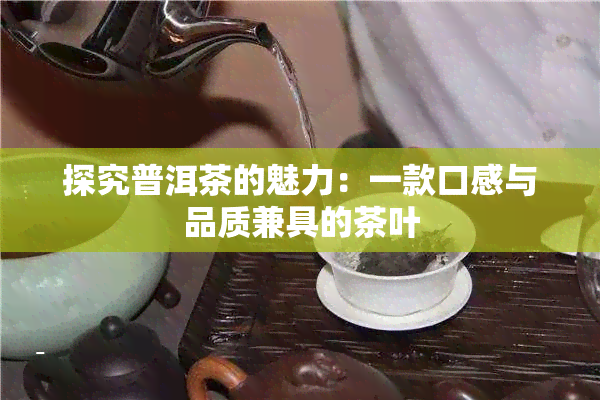 探究普洱茶的魅力：一款口感与品质兼具的茶叶