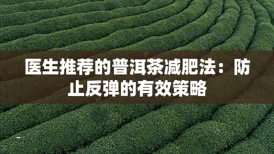 医生推荐的普洱茶减肥法：防止反弹的有效策略